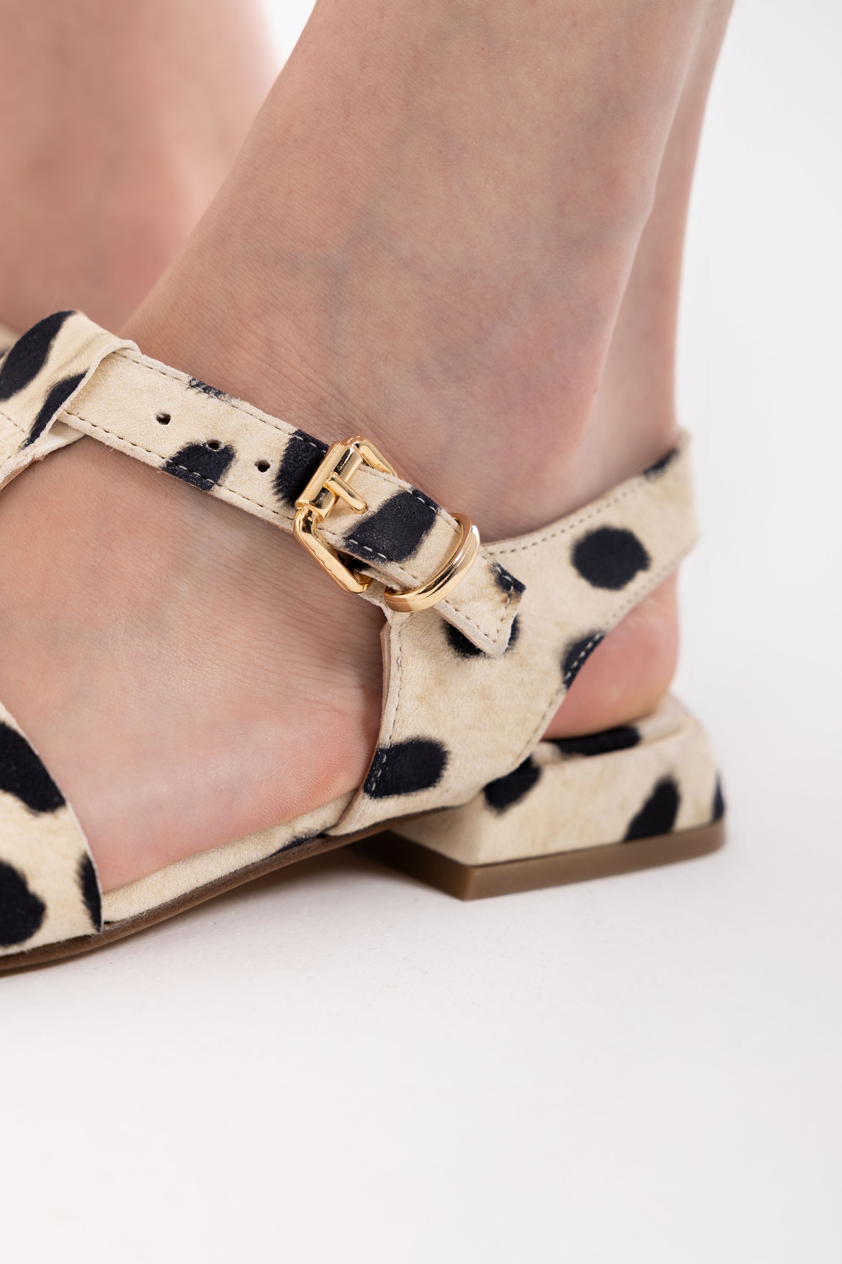 ${file-name} - Mimmu