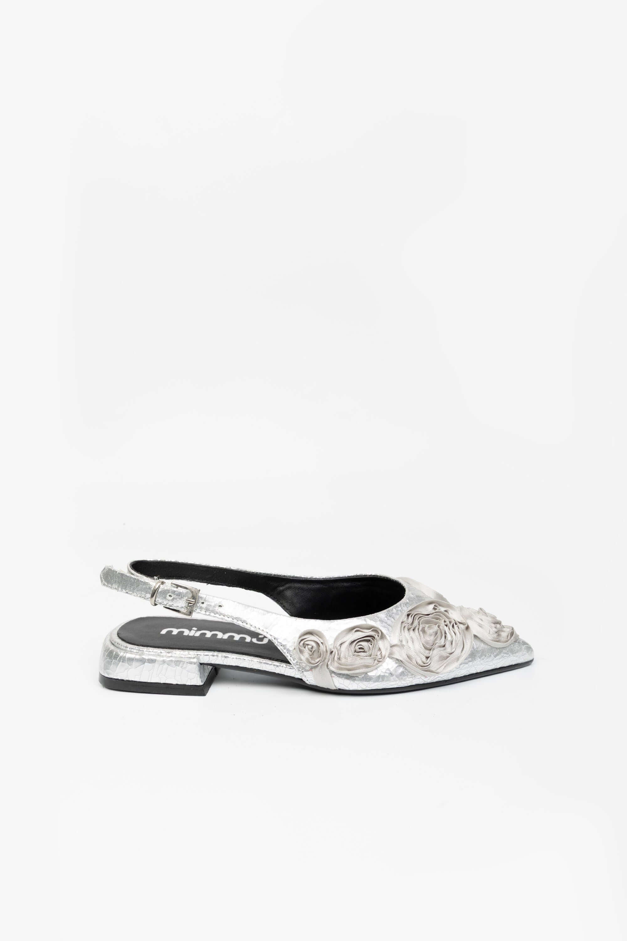 Ballerine in Crack Emily