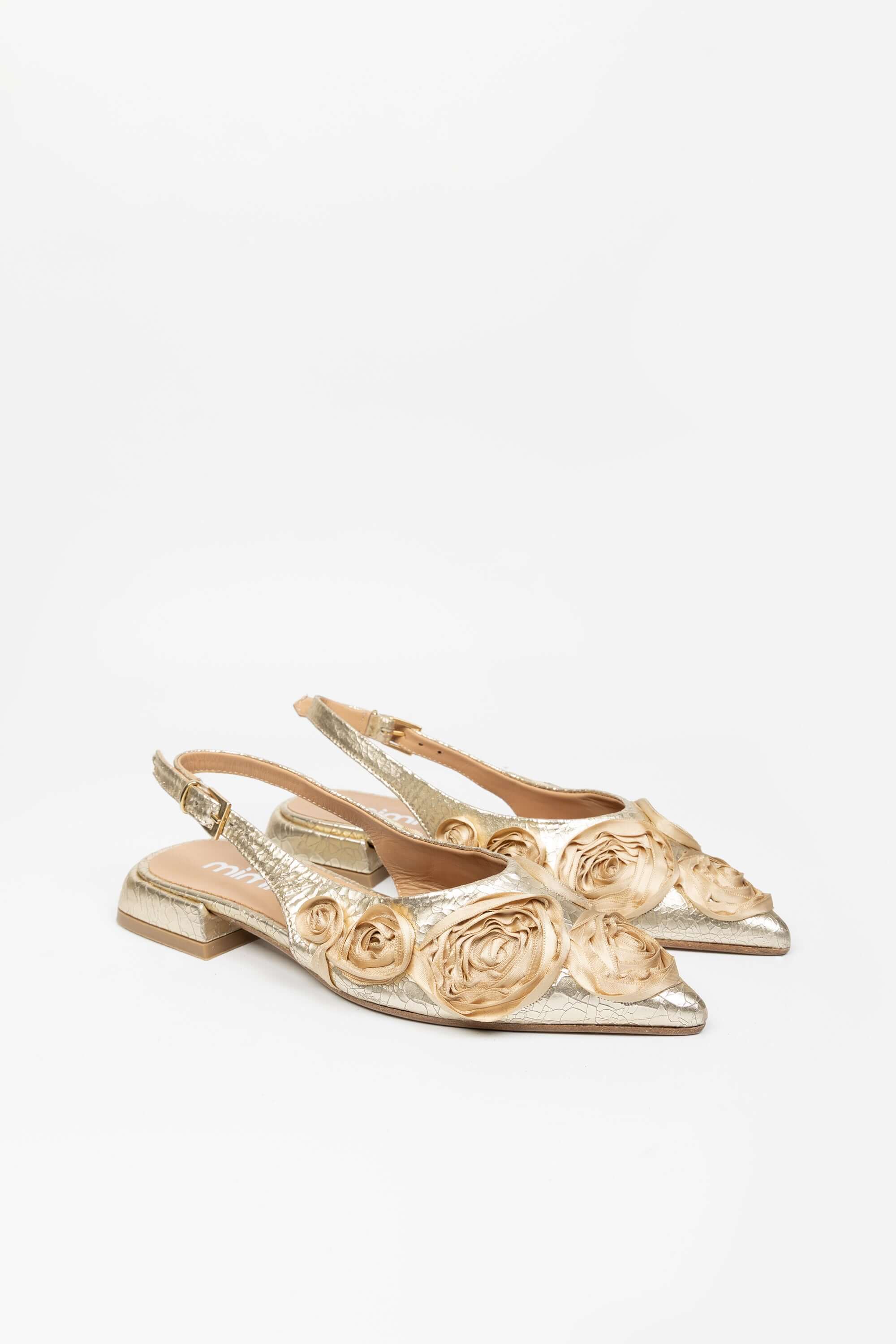 Ballerine in Crack Emily